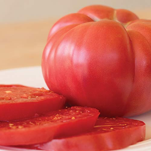 Burpee Chef's Choice Pink Tomato Seeds 25 seeds