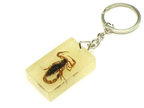 Real Scorpion Keychain Key Chain Glow in Dark Real Scorpion Keychain Key Chain Glow in Dark