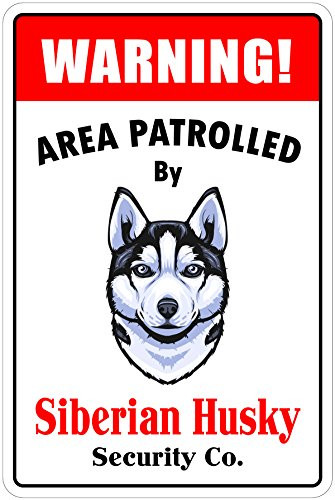 StickerPirate Warning Area Patrolled By Siberian Husky 8"X12" Novelty Dog Sign