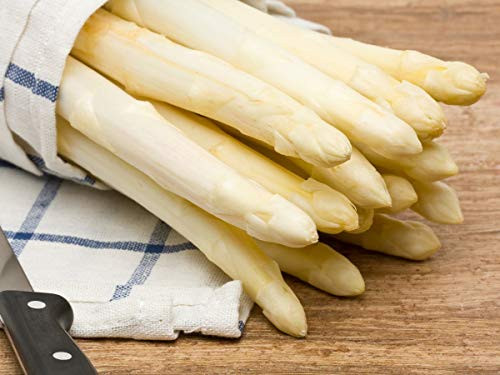 NIKA SEEDS - Vegetable Asparagus White - 30 Seeds