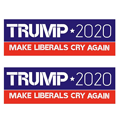 PACETAP 10 PCS 9 X 3 inch Make Liberals Cry Again Trump 2020 Car Truck Bumper Stickers Decals United States Presidential Election