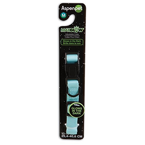 Petmate Glow-in Dark Adjustable Collar, 5/8" x 10-16", Blue