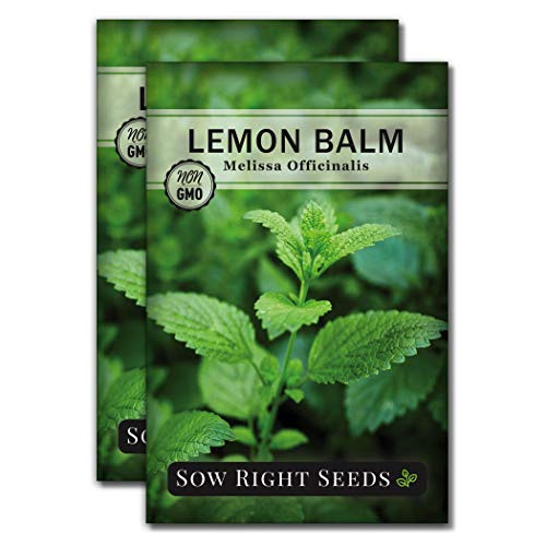 Sow Right Seeds - Lemon Balm Seeds Non-GMO Heirloom Seeds with Full Instructions for Planting an Easy to Grow herb Garden, Indoor or Outdoor Great Gardening Gift (2) Sow Right Seeds - Lemon Balm Seeds Non-GMO Heirloom Seeds with Full Instructions for Planting an Easy to Grow herb Garden, Indoor or Outdoor Great Gardening Gift (2)