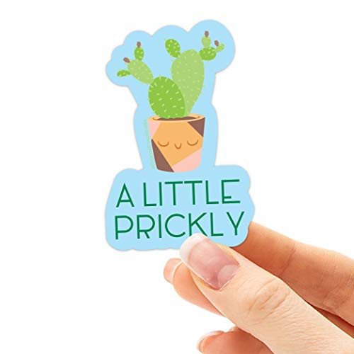 A Little Prickly Cute Cactus Sticker, Funny Plant Stickers for Hydroflask, Funny Succulent Vinyl Decals, House Plant Mom Decal, Prickly Pear Art