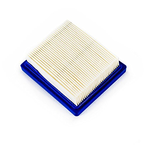 Tecumseh Air Filter - 5  and  5.5 HP