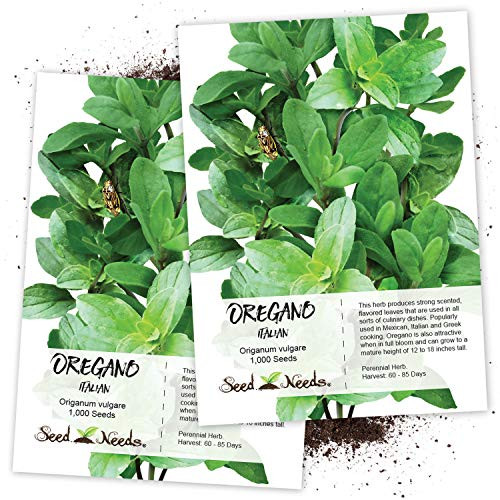 Seed Needs, Italian Oregano Herb (origanum vulgare) Twin Pack of 1,000 Seeds Each Non-GMO
