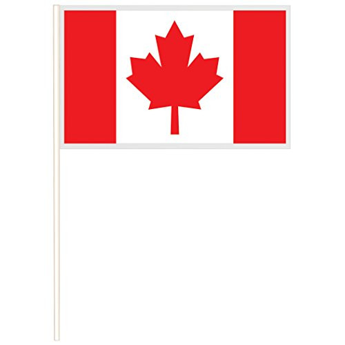 amscan 6" x 10" Canadian Flags (12 ct)