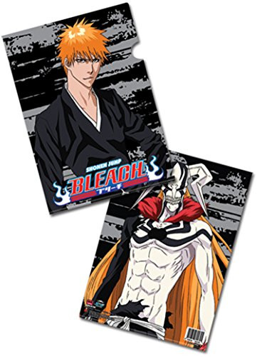 Paper Folder: Bleach - Ichigo / Vasto Lorde Ichigo (5-Pack) GE Animation