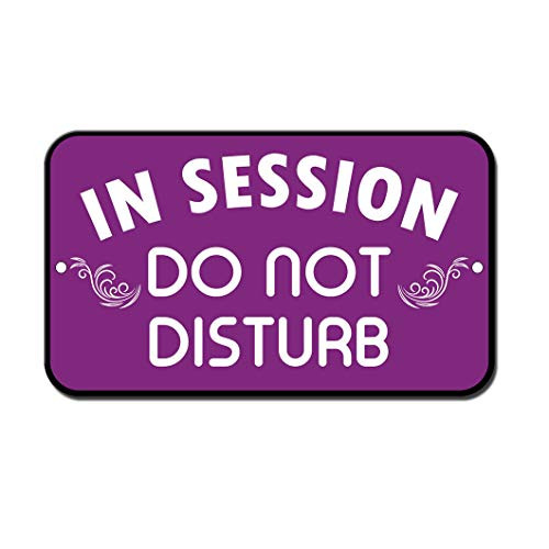 in Session Do Not Disturb Novelty Funny Sign Vinyl Sticker Decal 8"