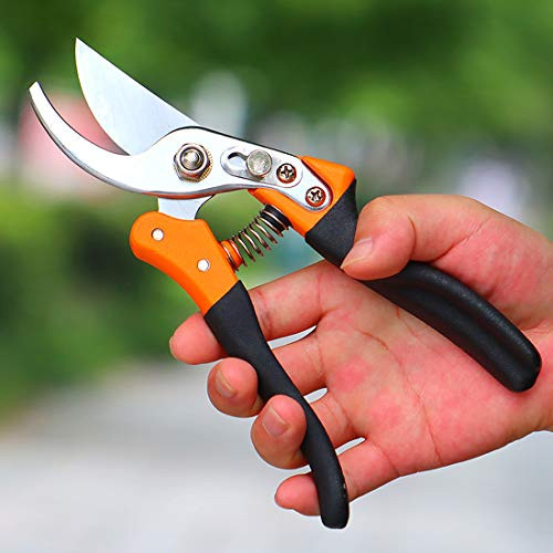 TOOLZYZ Pruning Shears, Hand Pruner with Stainless SK5 Steel Blades 8.6" Tree Trimmers Secateurs, Garden Shears Tools, Clippers for The Garden-Black