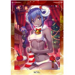 Ichiban Kuji Fate Grand Order Santa Claus Running Through The Night SkyASugar Pochette Mini Visualization Board D Award Assassin Hasan