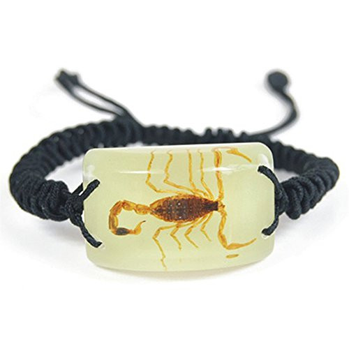 Glow In The Dark Lucite Rectangle Twisted Band Bracelet w/Genuine Golden Scorpion Glow In The Dark Lucite Rectangle Twisted Band Bracelet w/Genuine Golden Scorpion