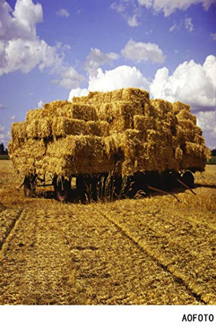 AOFOTO 3x5ft Countryside Farm Hay Bales Backdrops Agricultural Rural Autumn Farmland Harvest Scence Photography Background Haystack Flat-car Straw Hay Photo Shoot Blue Sky Clouds Photo Studio Props AOFOTO 3x5ft Countryside Farm Hay Bales Backdrops Agricultural Rural Autumn Farmland Harvest Scence Photography Background Haystack Flat-car Straw Hay Photo Shoot Blue Sky Clouds Photo Studio Props