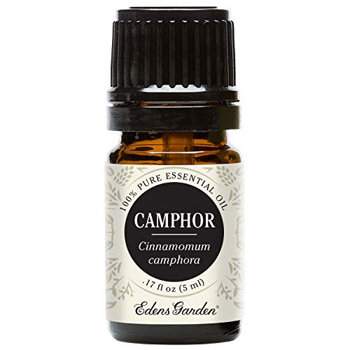 Edens Garden Camphor Essential Oil, 100 percent Pure Therapeutic Grade (Cold Flu and Congestion) 5 ml Edens Garden Camphor Essential Oil, 100 percent Pure Therapeutic Grade (Cold Flu and Congestion) 5 ml