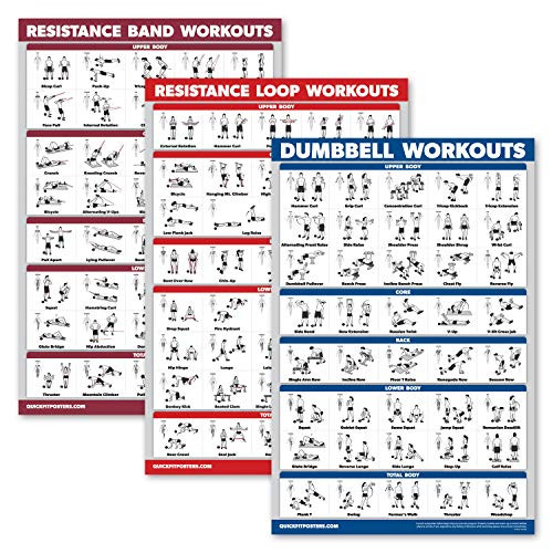 Palace Learning 3 Pack: Resistance Bands Exercise Poster Plus Resistance Loops Workouts Plus Dumbbell Exercises - Set of 3 Workout Charts (Laminated, 18" x 27")