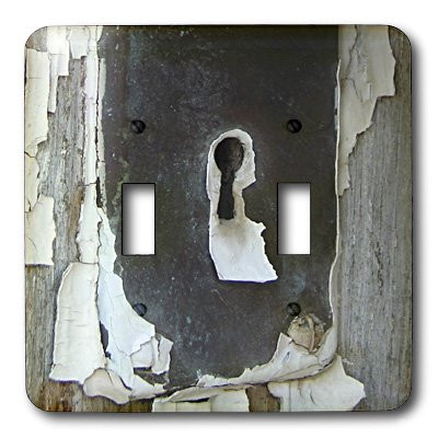 3dRose lsp_6436_2 Key Hole Double Toggle Switch Multicolor