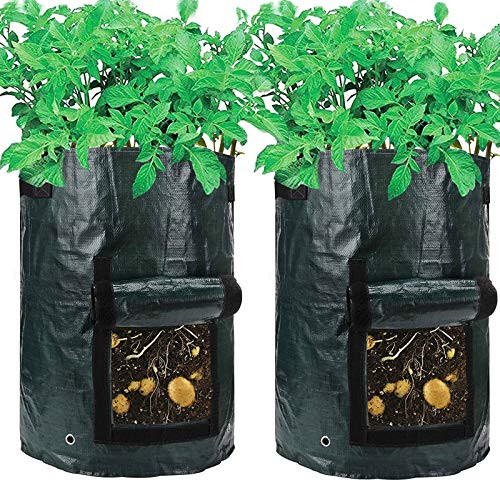 Amgate 2 Pack 10 Gallon Garden Potato Grow Bag Vegetables Growing Planter Tub with Handle Access Flap for Harvesting Vegetables: Potato, Carrot, Tomato, Onion Amgate 2 Pack 10 Gallon Garden Potato Grow Bag Vegetables Growing Planter Tub with Handle Access Flap for Harvesting Vegetables: Potato, Carrot, Tomato, Onion