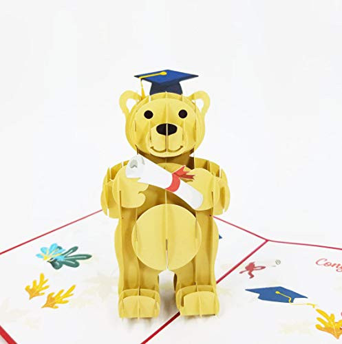 Bear 3D Pop Up Graduation Greeting Card  Graduation, Congratulations, Congrats, Celebration, Convocation, Achievement - Pop Card Express