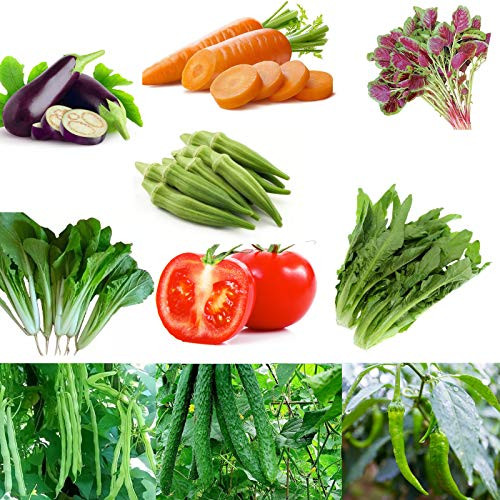 7200Plus Premium Vegetable Seeds 10 Deluxe Variety Premium Vegetable Garden 100 percent Non-GMO Heirloom
