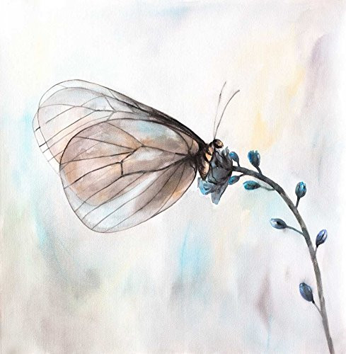 Aporia Crataegi Butterfly Poster Print by Atelier B Art Studio (12 x 12)