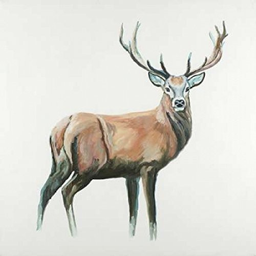 Posterazzi Collection Deer Poster Print by Atelier B Art Studio (12 x 12)