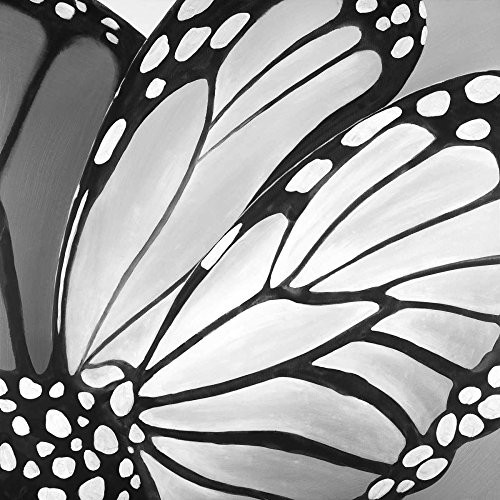 Butterfly Wings Poster Print by Atelier B Art Studio (12 x 12)
