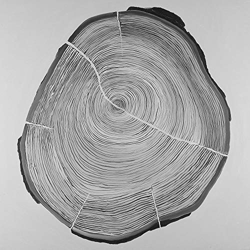 Posterazzi Collection Grayscale Oval Shaped Tree Slab Poster Print by Atelier B Art Studio (12 x 12)