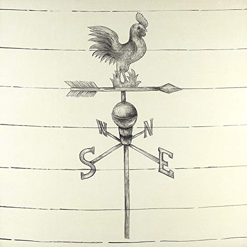 Posterazzi Collection Vintage Weathervane Poster Print by Atelier B Art Studio (12 x 12)