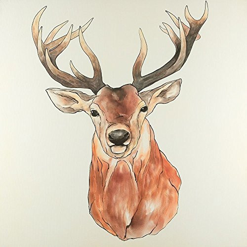 Posterazzi Collection Front Deer Portrait Poster Print by Atelier B Art Studio (12 x 12)