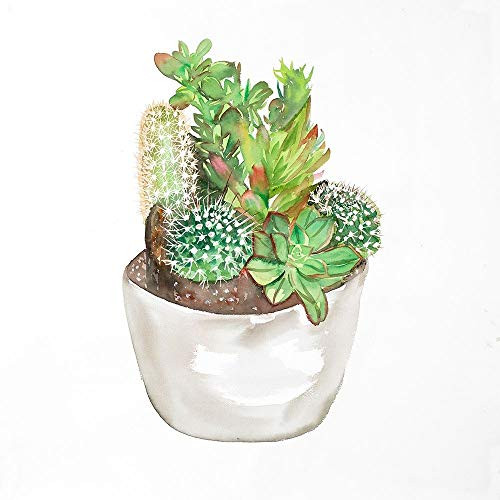 Posterazzi Collection Cactus Assortment in A Pot Poster Print by Atelier B Art Studio (12 x 12)