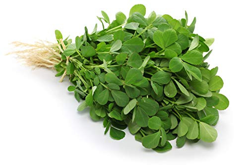 Fenugreek Herb Seeds - Non-GMO - 1 Gram, Approximately 60 Seeds