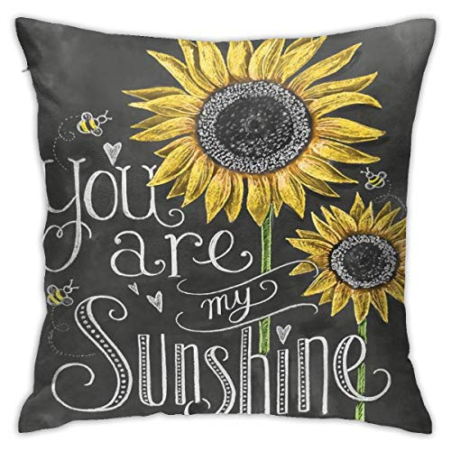 You are My Sunshine Sunflower Chalk Painting Throw Pillow Covers Decorative 18x18 Inch Pillowcase Square Cushion Cases for Home Sofa Bedroom Livingroom