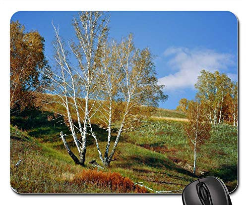 Mouse Pad - Mountain Birch Nature Landscape Fall Forest Slope