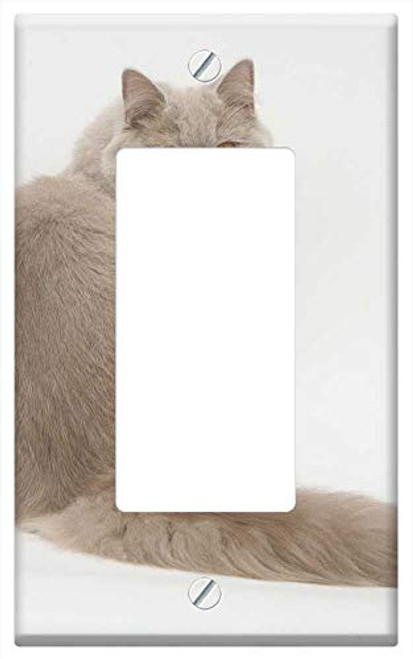 Switch Plate Single Rocker/GFCI - A Smile British Short Blue Lick Cat Pets Gray Fur Switch Plate Single Rocker/GFCI - A Smile British Short Blue Lick Cat Pets Gray Fur