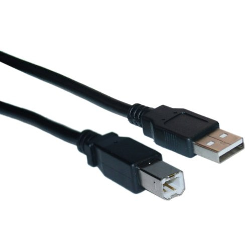 10U2-02206BK USB 2.0 Printer/Device Cable, Black, Type A Male to Type B Male, 6 foot