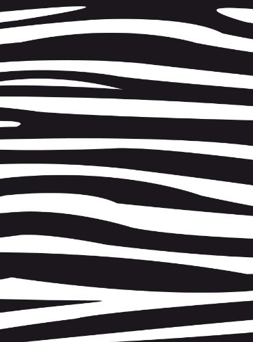 Darice Embossing Folder 4.25"X5.75"-Zebra