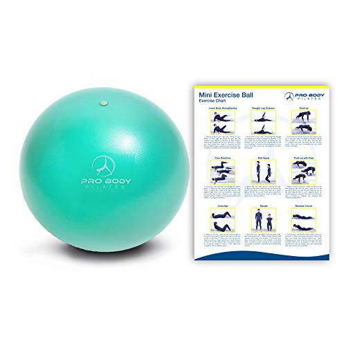 Mini Exercise Ball - 9 Inch Small Bender Ball for Stability, Barre, Pilates, Yoga, Core Training and Physical Therapy (Aqua) Mini Exercise Ball - 9 Inch Small Bender Ball for Stability, Barre, Pilates, Yoga, Core Training and Physical Therapy (Aqua)