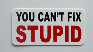 3 - You Cant Fix Stupid Hard Hat / Helmet Stickers 1 x 2