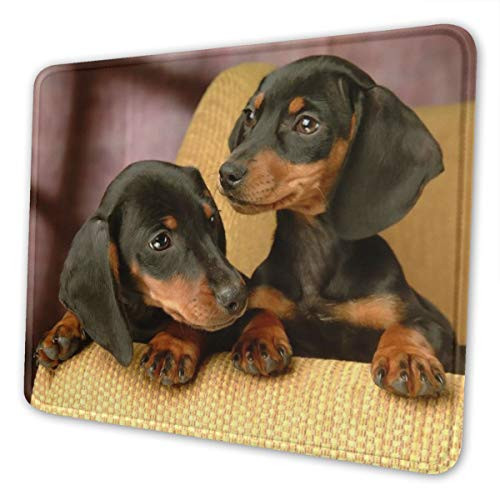 Mouse Pad Achshund Puppy Dog Office Accessories Rectangle Waterproof Mousepad with Stitched Edge Premium-Textured Non-Slip Rubber Base 10x12 inch Mouse Mat
