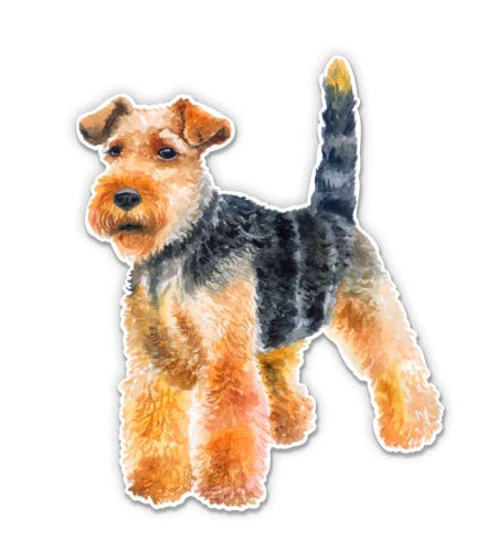 Squiddy Welsh Terrier - Vinyl Sticker Decal for Phone, Laptop, Water Bottle (3" Wide)