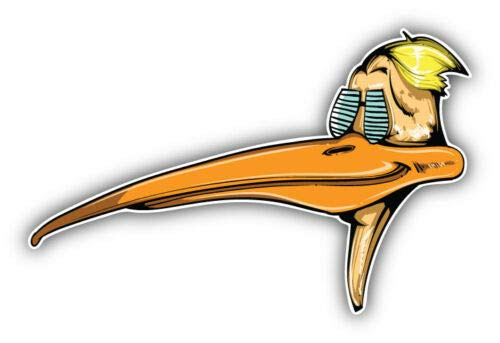 Funny Pelican Head 5 INCH STICKER GRAPHIC - Bumper WIndow Laptop Locker Waterbottle Folder Sticker Sign