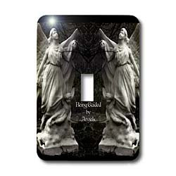 3dRose lsp_63366_1" Two Protecting Angels Standing Side" Single Toggle Switch