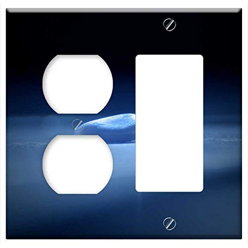 2-Gang, Outlet Rocker/GFCI Combination Wall Plate Cover - Nature Space Dark Bright Blue Design Light Glow