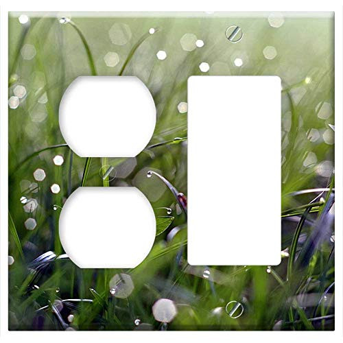 2-Gang, Outlet Rocker/GFCI Combination Wall Plate Cover - Rosa Grass Blade Glow Dawn Morning Green Nature 2-Gang, Outlet Rocker/GFCI Combination Wall Plate Cover - Rosa Grass Blade Glow Dawn Morning Green Nature
