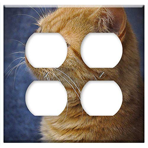 Double Duplex Outlet Wall Plate Cover - Cat Red Mackerel Pet Red Tomcat Mieze Short Hair