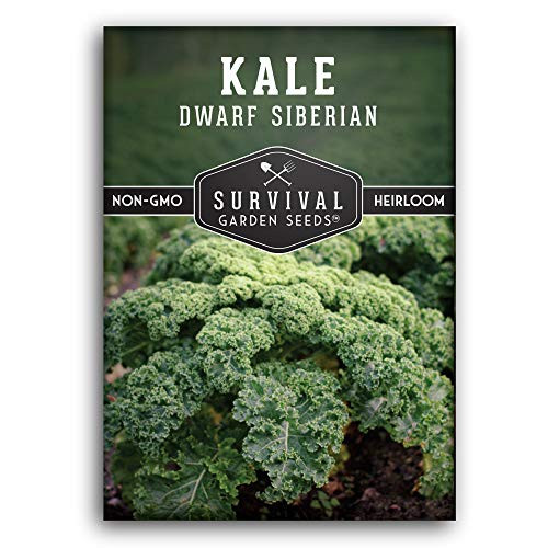 Survival Garden Seeds - Dwarf Siberian Kale Seed for Planting - Packet with Instructions to Plant and Grow Your Home Vegetable Garden - Non-GMO Heirloom Variety