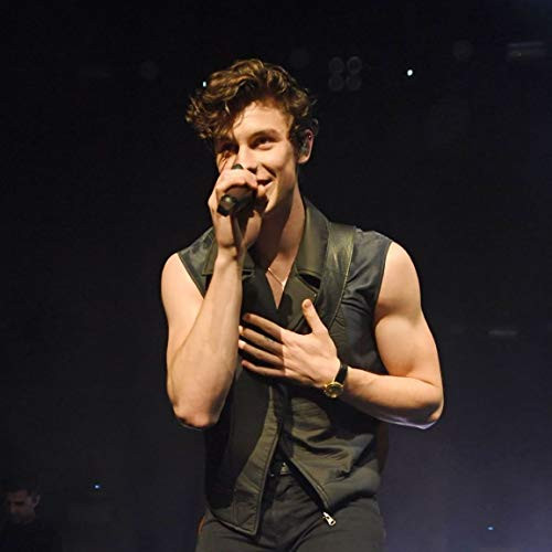 Euphoria Eshop Shawn Mendes Amazing HD Poster 12 X 12 Inch