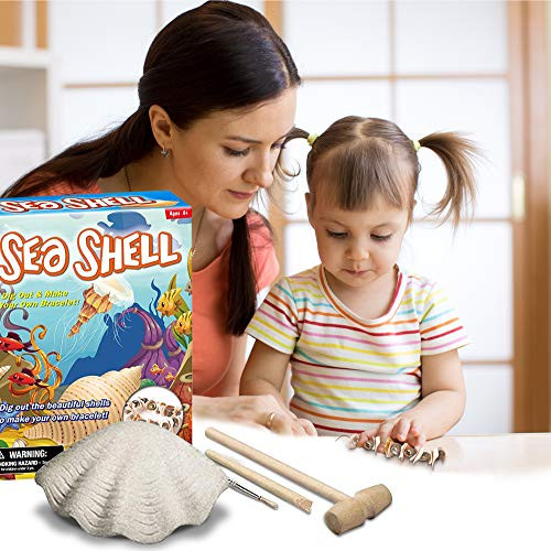 BUDDY N BUDDIES Sea Shell Excavation Kits, Dig Out  and  Make Your Own Bracelet with Beautiful Sea Shell ,Children's Popular Science Education Toys (Sea Shell)