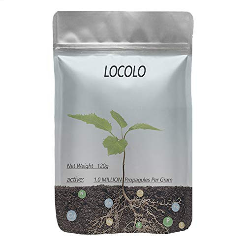 Mycorrhizal Inoculant LOCOLO Beneficial Fungi Increase Microogranisms Root Level of Plants This Then Increases Root Growth Mycorrhizal Inoculant LOCOLO Beneficial Fungi Increase Microogranisms Root Level of Plants This Then Increases Root Growth