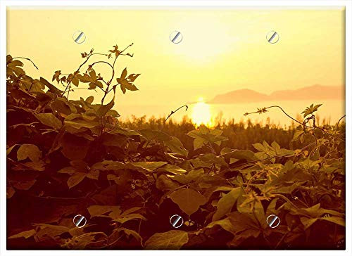 Triple Blank Wall Plate Cover - Sunset In The Evening Sky Evening Sky Glow Nature 1 Triple Blank Wall Plate Cover - Sunset In The Evening Sky Evening Sky Glow Nature 1